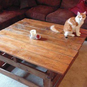 DIY Pallet Wood Coffee Table