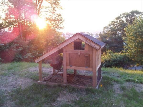 recycled pallet rustic chicken tractor