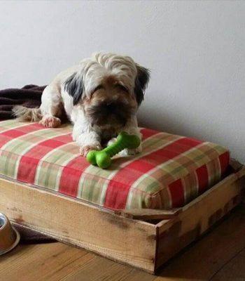 Recycled pallet dog bed