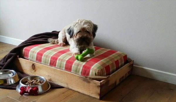 Recycled pallet dog bed