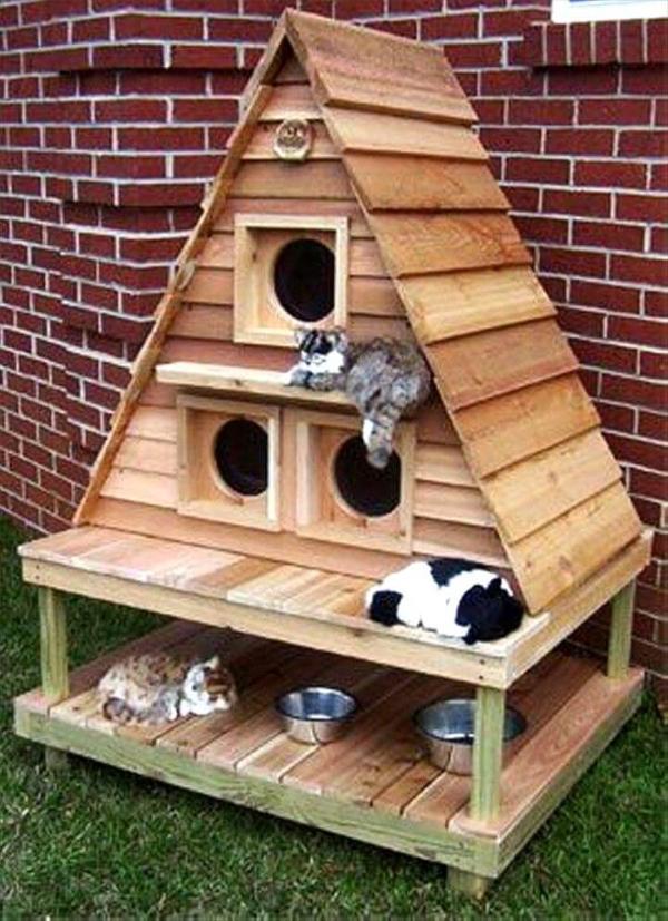 pallet cat house