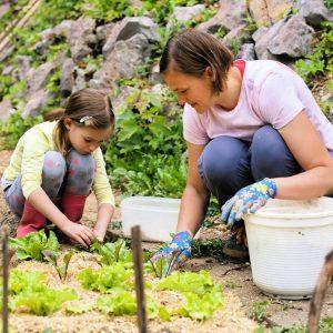 Best Garden Activities You Must Try During Lock Down (1)