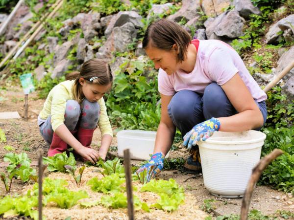 Best Garden Activities You Must Try During Lock Down (1)