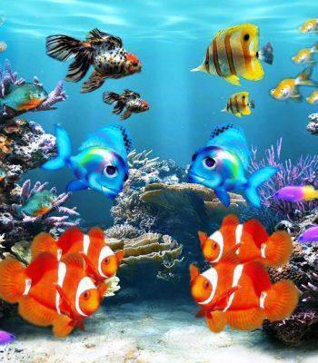 Care And Maintenance Tips To Keep Your Fish Tank Working The Right Way