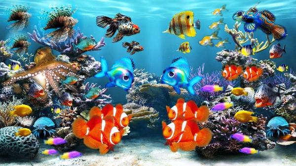 Care And Maintenance Tips To Keep Your Fish Tank Working The Right Way
